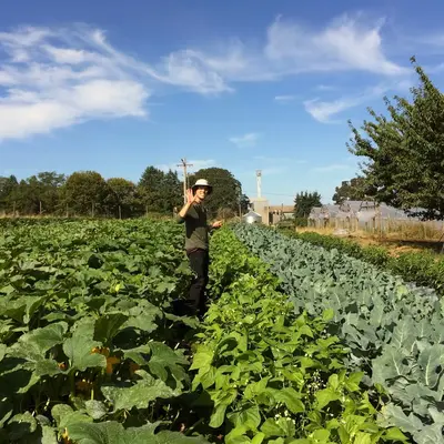 Farm in Western Oregon